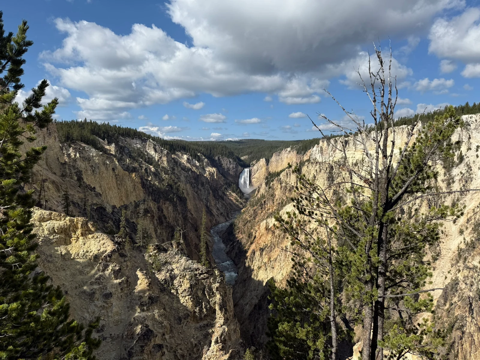 Yellowstone